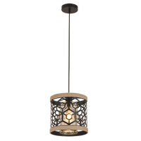 PENDANT LIGHT-PEN860 ROPE