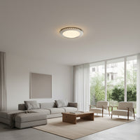 Radiant Lighting- Disc Milan Ceiling Light Satin Chrome R7s 1x150w-RC113.