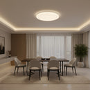 Radiant  GSD Ceiling Light Aura LED-RC244