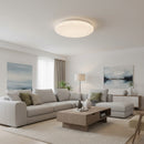 Radiant  GSD Ceiling Light Aura LED-RC244