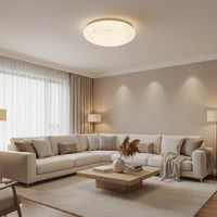 Radiant GSD Ceiling Light Wisp LED 12w-RC245.