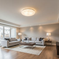 Radiant GSD Ceiling Light Wisp LED 16w-RC249
