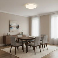 Radiant GSD Bathroom Ceiling Light Alabaster 16w-RC252