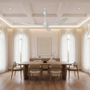 Mach One Ceiling Fan with Light & Remote White Non Dimmable-RF219W.