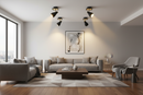 SPOTLIGHT-S173/1 BLACK/BRASS