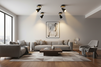 SPOTLIGHT-S173/1 BLACK/BRASS
