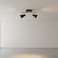 SPOTLIGHT-S173/2 BLACK/BRASS
