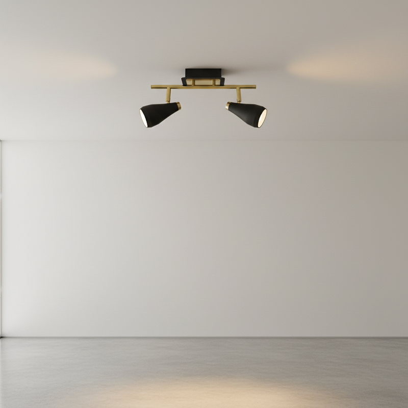 SPOTLIGHT-S173/2 BLACK/BRASS