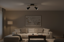 SPOTLIGHT-S173/2 BLACK/BRASS
