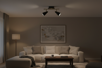 SPOTLIGHT-S173/2 BLACK/BRASS