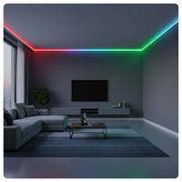 Smart RGB COB LED Strip Light.24V-10M