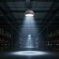 200W UFO HIGH-BAY LED B2.