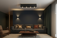 WALL LAMP-WB495 BK CCT