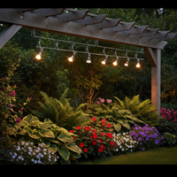 Tracklight-12v-WSC003 SAT