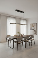 PENDANT LIGHT-DRSA-3001 LED RETRACTABLE PENDANT LIGHT.