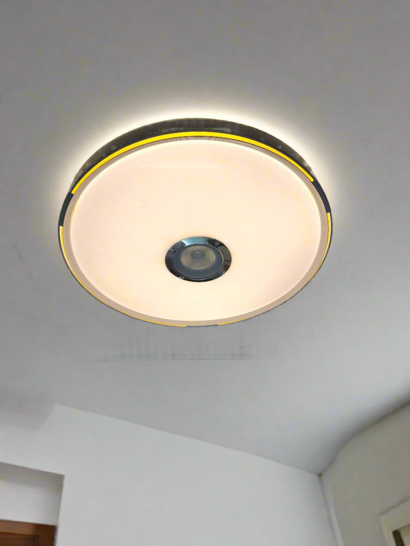 Bluetooth speaker ceiling light - W903-500YE.