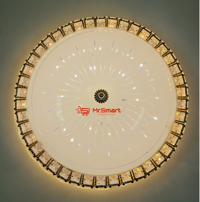 LED Ceiling Light - CE006.