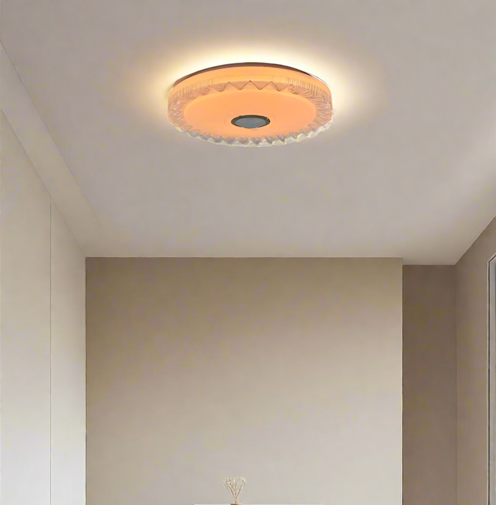 LED Ceiling Light With Bluetooth Speaker - CE009. - Mr.Smart SA's Best Online Shopping Store