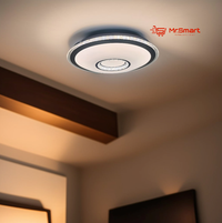 LED Ceiling Light - CE014. - Mr.Smart SA's Best Online Shopping Store