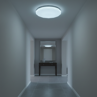 30W LED Ceiling Light - CE101.