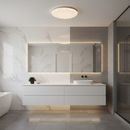 18W LED Ceiling Light - CE101.