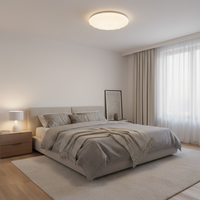 18W LED Ceiling Light - CE101.
