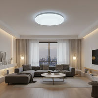 30W LED Ceiling Light - CE101.