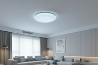 24W LED Ceiling Light - CE103.