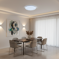 18W LED Ceiling Light - CE101.