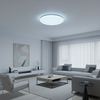 30W LED Ceiling Light - CE101.