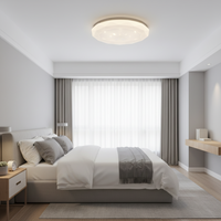 18W Ceiling light - CE102.