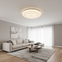 18W LED Ceiling Light - CE104.