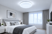 30W LED Ceiling Light - CE102.