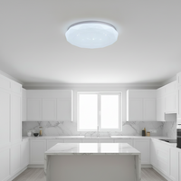 24W LED Ceiling Light - CE102-6500k.