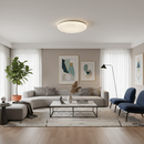 24W LED Ceiling Light - CE104-6500k.