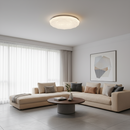 24W LED Ceiling Light - CE104-6500k.