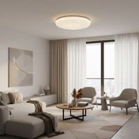 18W LED Ceiling Light - CE103.