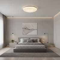 18W LED Ceiling Light - CE103.