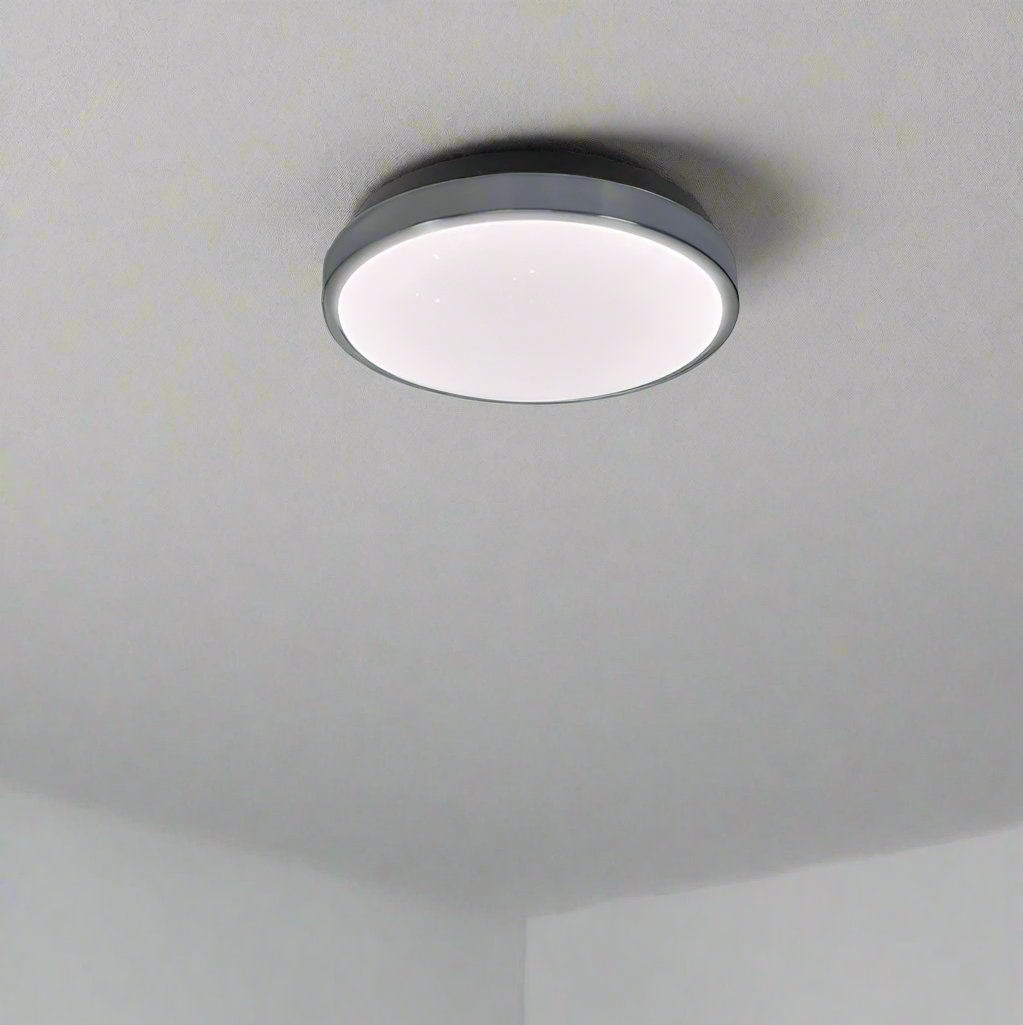 LED Ceiling Light- CE110.