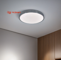 LED Ceiling Light- CE110. - Mr.Smart SA's Best Online Shopping Store