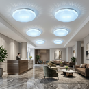 30W LED Ceiling Light - CE104.
