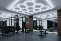 4M x 2.5M Hexagon Grid LED Garage Ceiling Light - 2 years warranty.
