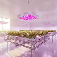 1000W LED UV Indoor Plant growing Greenhouse Grow Light Full Spectrum.