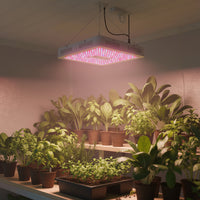 1000W LED UV Indoor Plant growing Greenhouse Grow Light Full Spectrum.