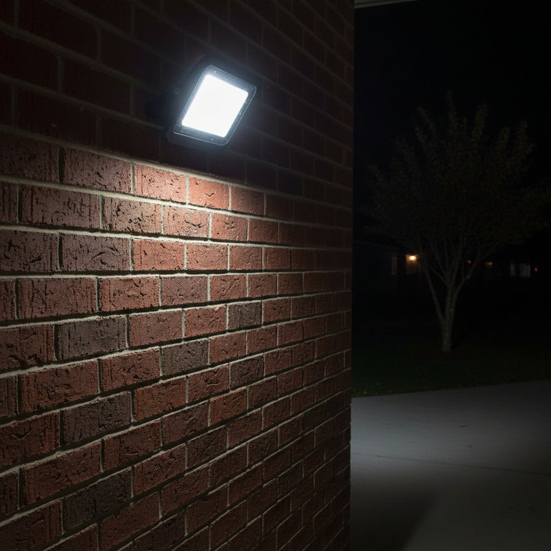 100W LED Flood Light (1 year warranty).