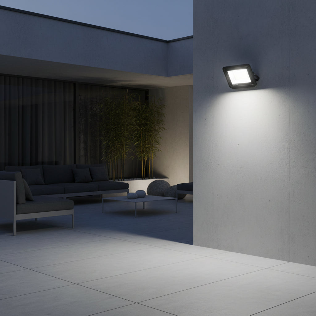 100W LED Flood Light (1 year warranty).