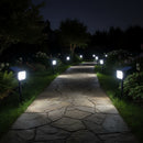Eurolux Solar Spot Light Black LED 4w-O676