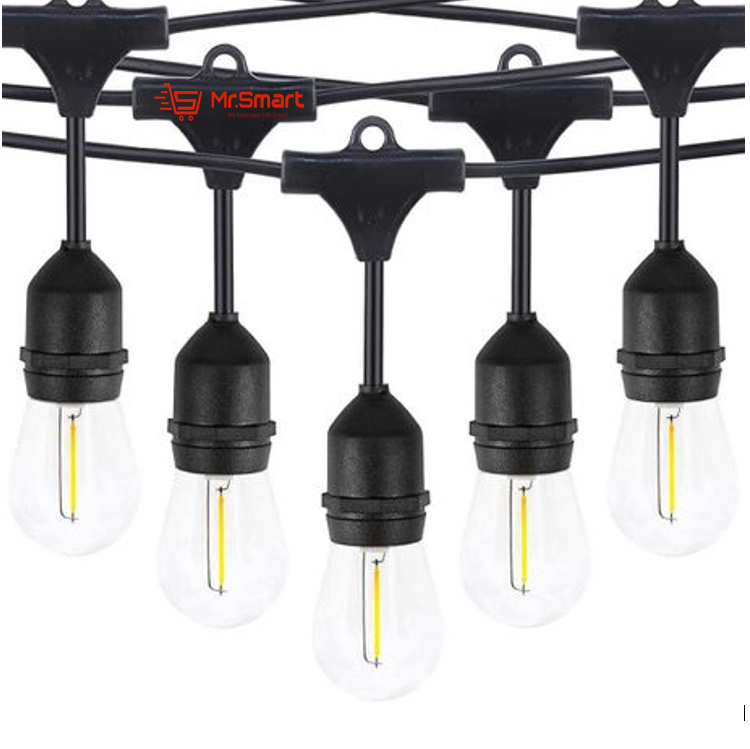 Plug-In LED Festoon String Light (Bulbs Included).