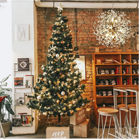 Crystal Fireworks Pendant Lamp. - Mr.Smart SA's Best Online Shopping Store