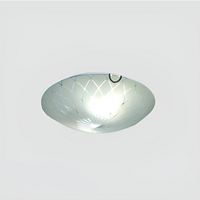 Glass ceiling Light-01. - Mr.Smart SA's Best Online Shopping Store